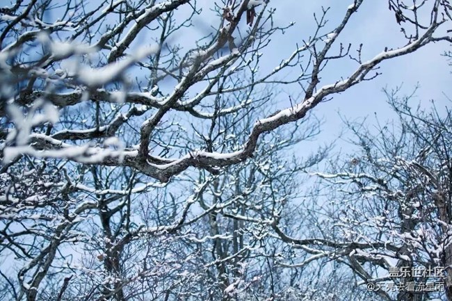 问鼎浙西天目山之药王山（二）