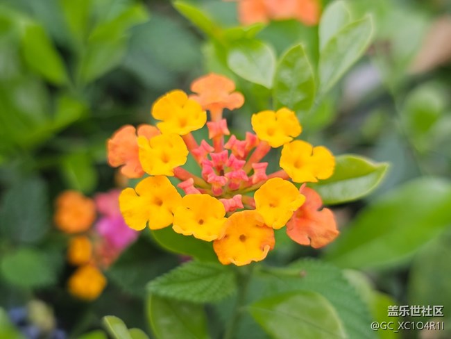 【旅途瞬间志】角落