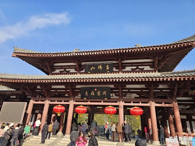 【光影一刻】千佛山的风