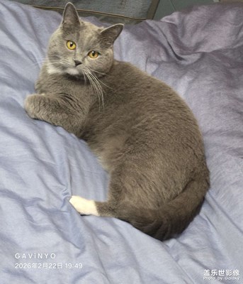 【光影一刻】戏精上线