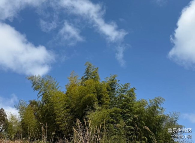 【旅途瞬间志】体验大自然