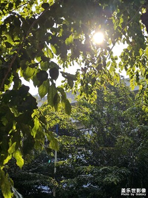 【光影一刻】春天暖阳