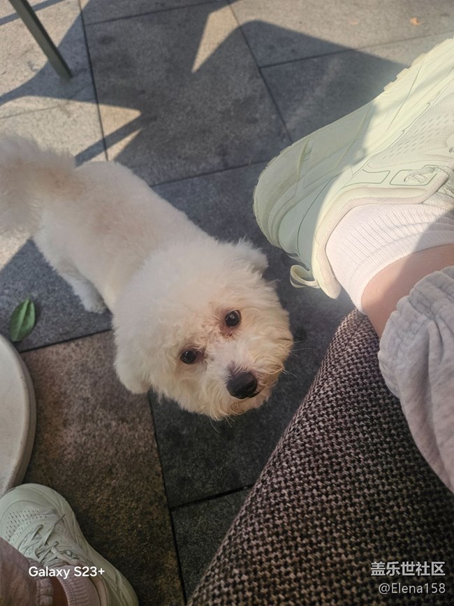 【春光拾趣】各种惊叹的瞬间