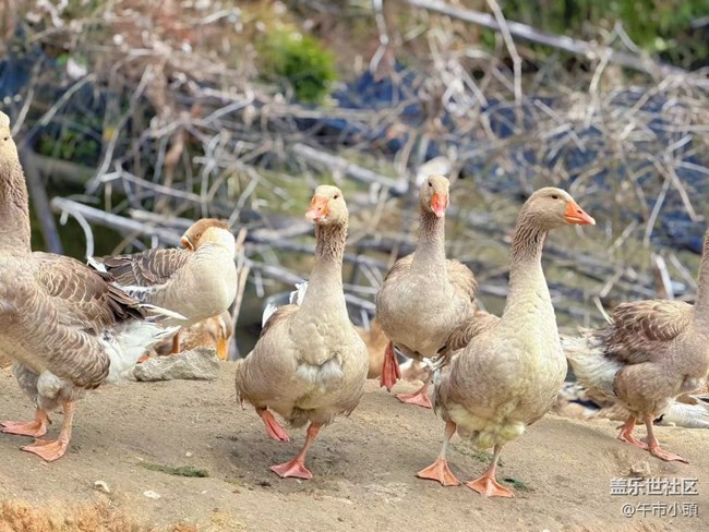 【旅途瞬间志】体验大自然