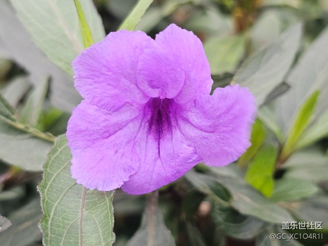 【旅途瞬间志】角落