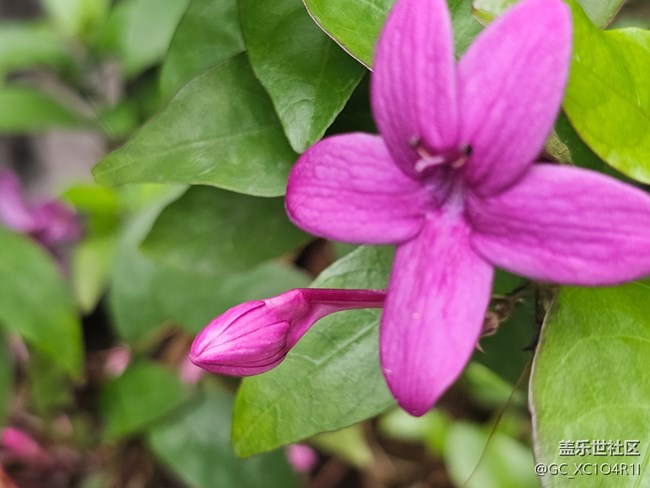 【旅途瞬间志】角落