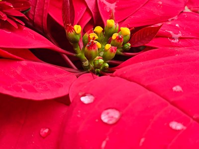 【光影一刻】阴天