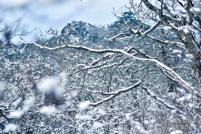 问鼎浙西天目山之药王山（二）