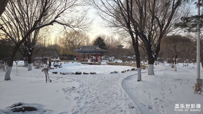 【光影一刻】元宵佳节