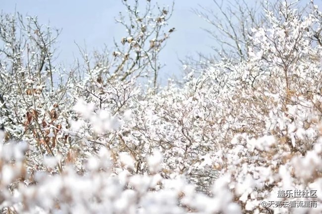 问鼎浙西天目山之药王山（二）