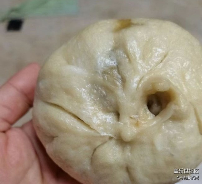 【人间知春味】美味大包子