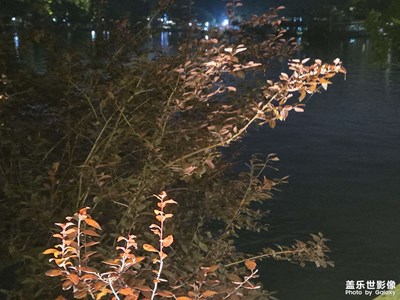 【光影一刻】夜色