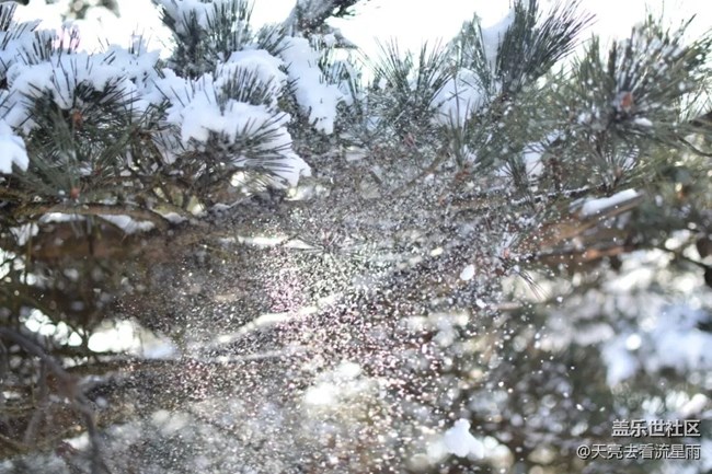 问鼎浙西天目山之药王山（三）