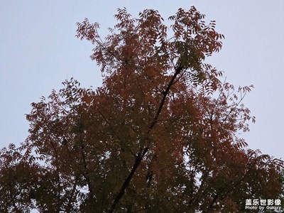 【光影一刻】光影流转