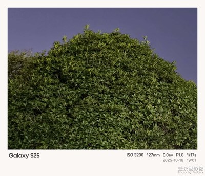 【光影一刻】满目鲜活