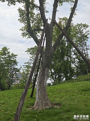 【光影一刻】阳光的下午