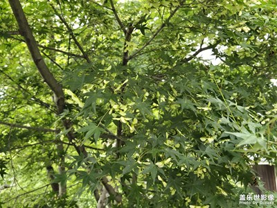 【光影一刻】寻常的街道