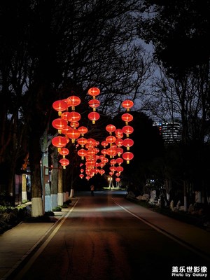 【光影一刻】+灯笼归途—东湖夜色里的意外之美