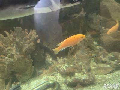 【光影一刻】水族馆光影