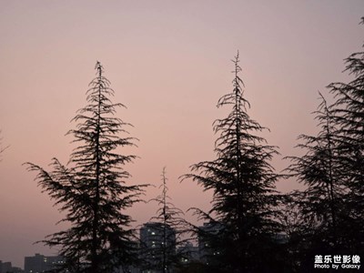 【光影一刻】粉紫色