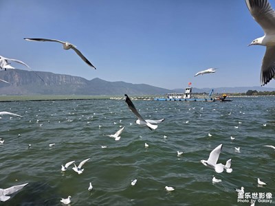 【光影一刻】+春城丽影