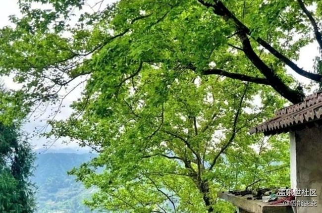 【徒步所见】一抹绿