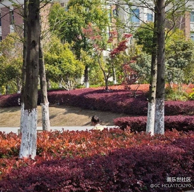 【徒步所见】踏青