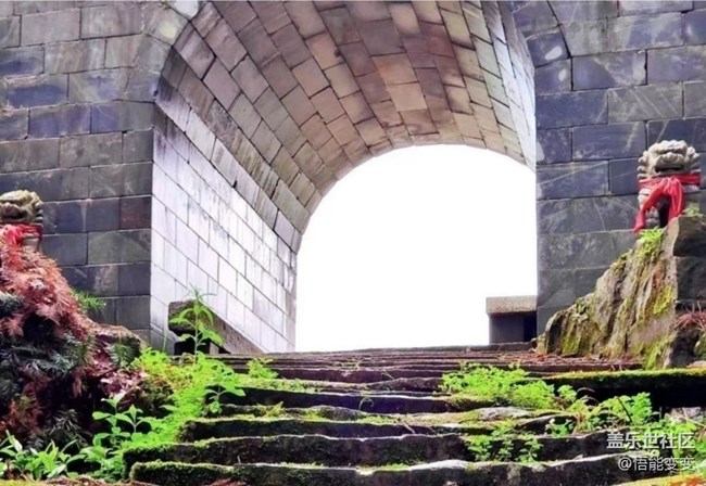 【徒步所见】一抹绿