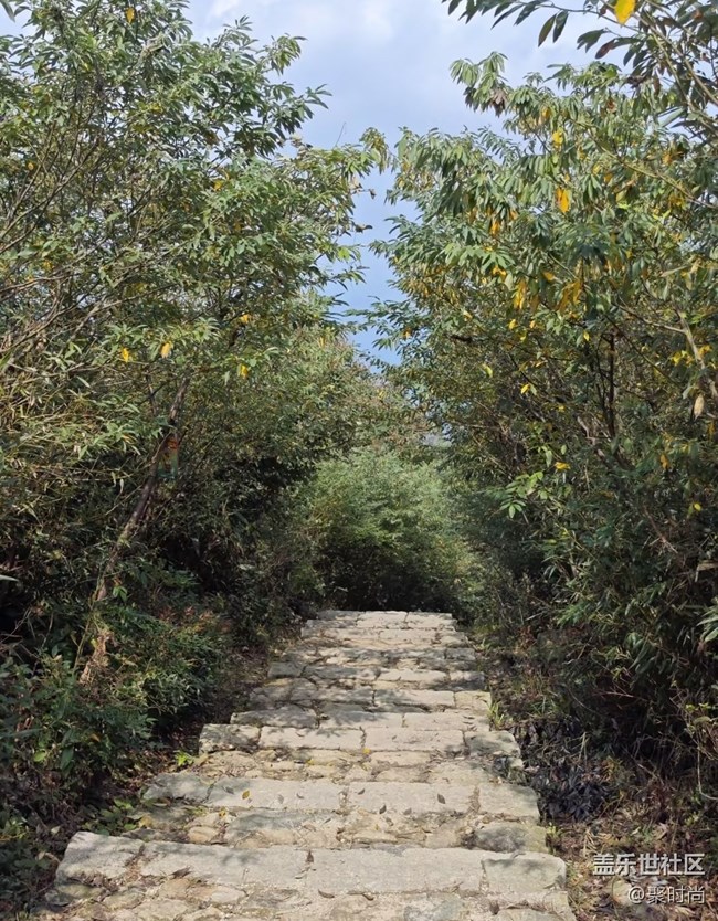 【徒步所见】上山