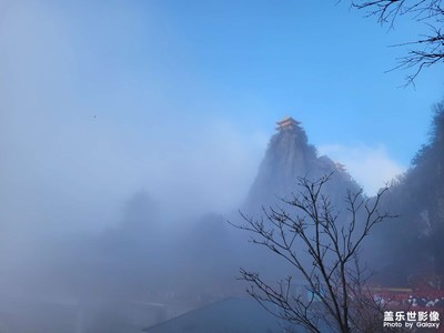 【简拍】＋洛阳之春