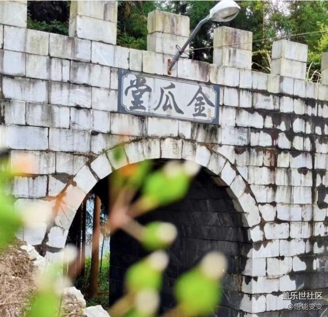 【徒步所见】一抹绿