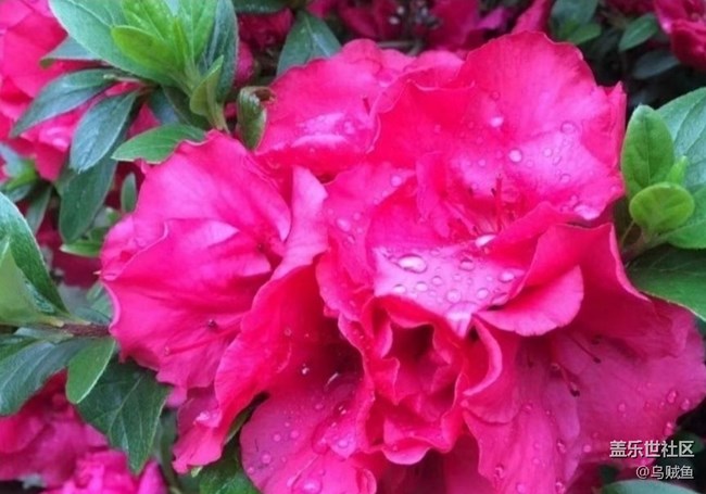 【徒步所见】雨后