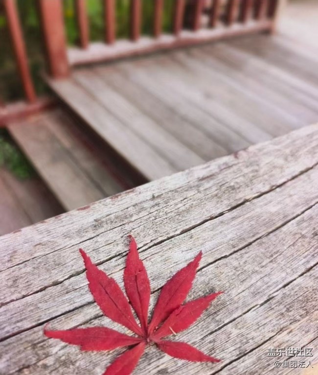 【徒步所见】赏春花