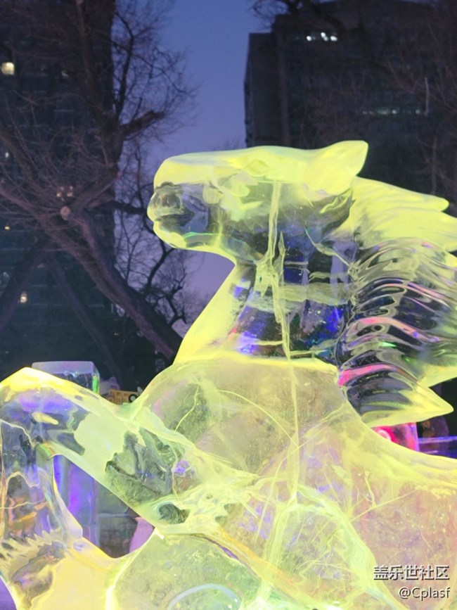 【活动回顾】华灯初上 兆麟公园赏冰灯活动回顾