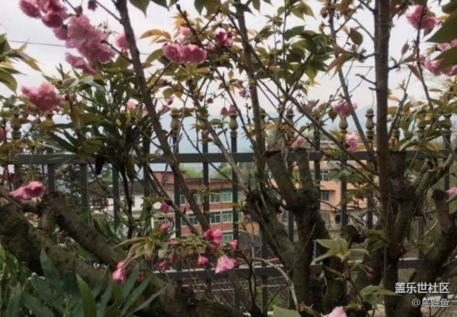 【徒步所见】雨后