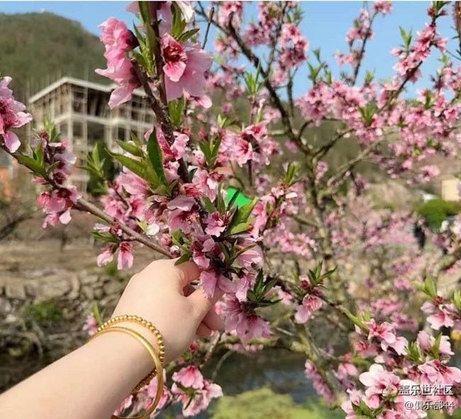 【徒步所见】桃花坞