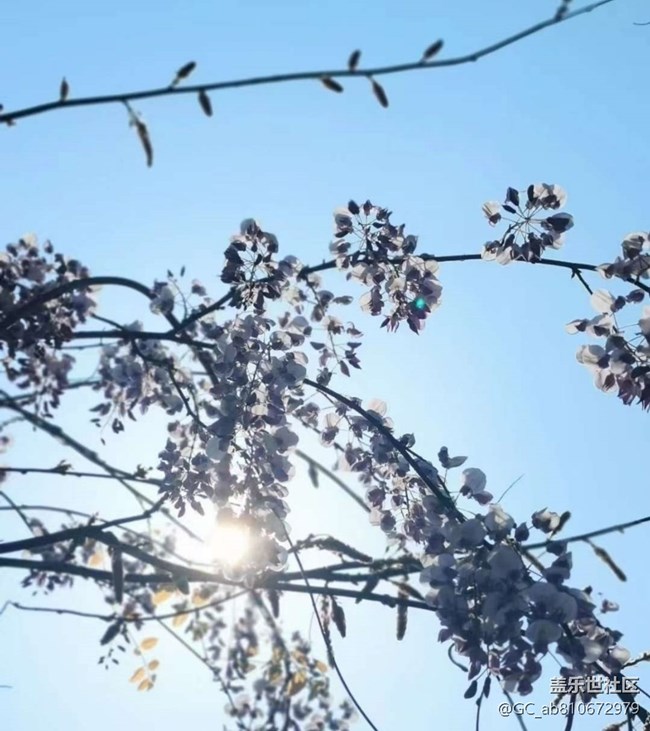 【徒步所见】满园春色