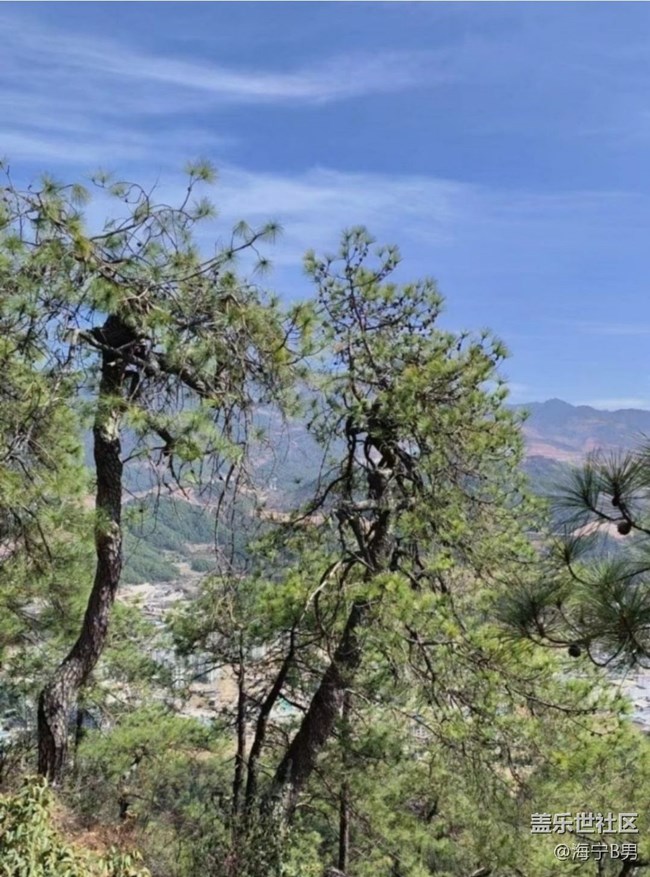 【徒步所见】上山