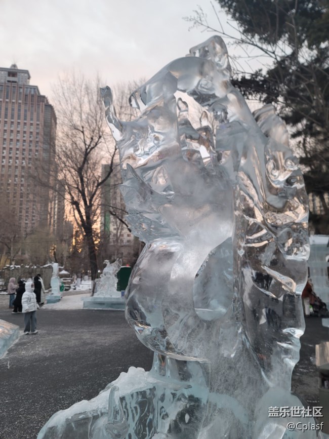 【活动回顾】华灯初上 兆麟公园赏冰灯活动回顾