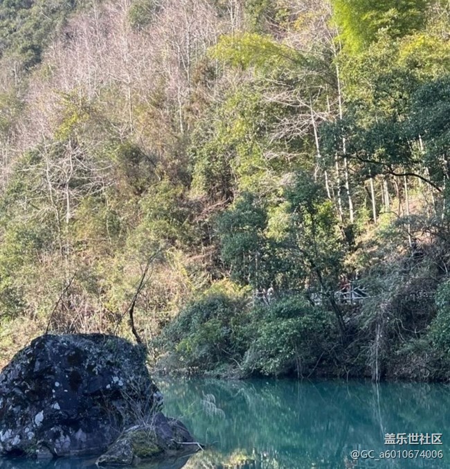 【徒步所见】去踏青