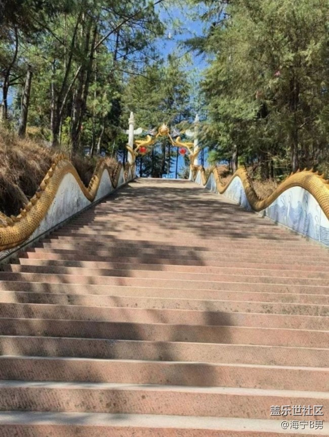 【徒步所见】上山