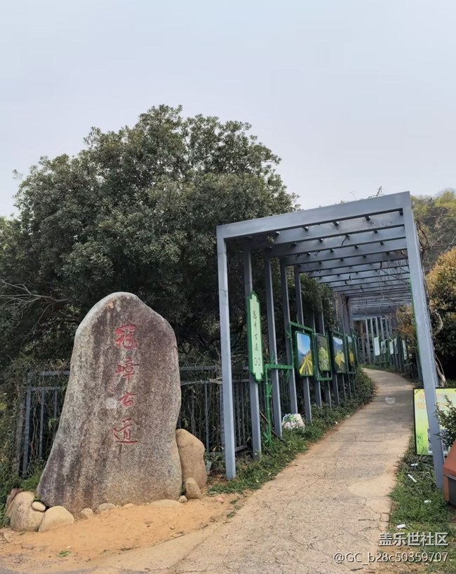 【徒步所见】爬爬山