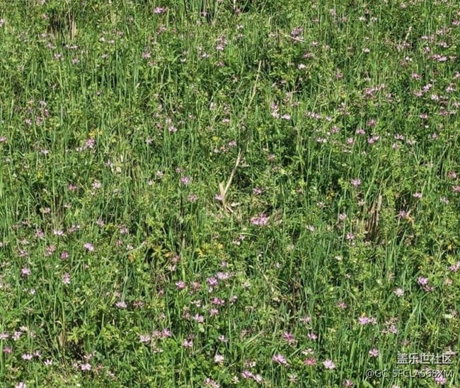 【徒步所见】绿油油的青山