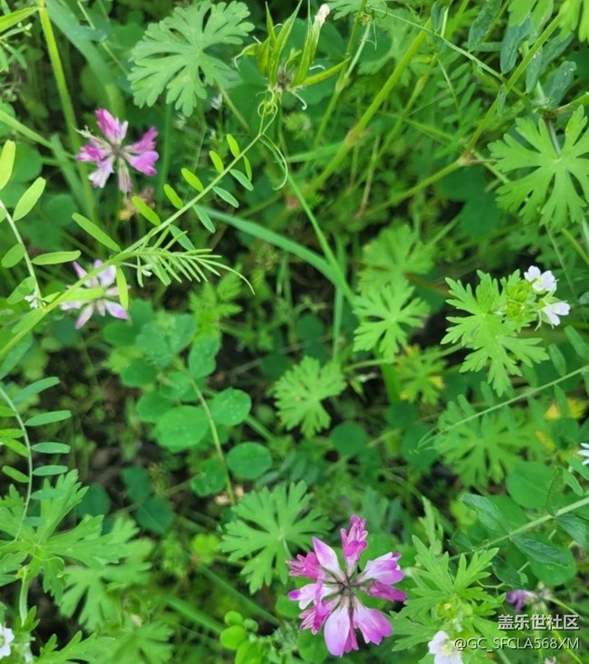 【徒步所见】绿油油的青山
