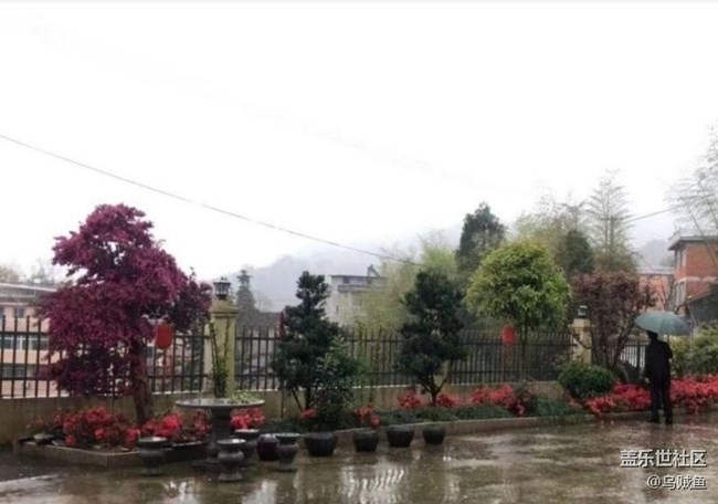 【徒步所见】雨后