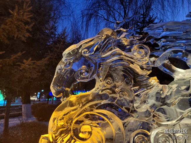 【活动回顾】华灯初上 兆麟公园赏冰灯活动回顾