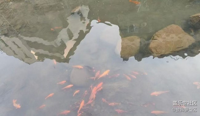 【徒步所见】家门口