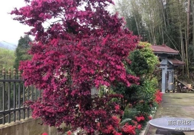 【徒步所见】雨后