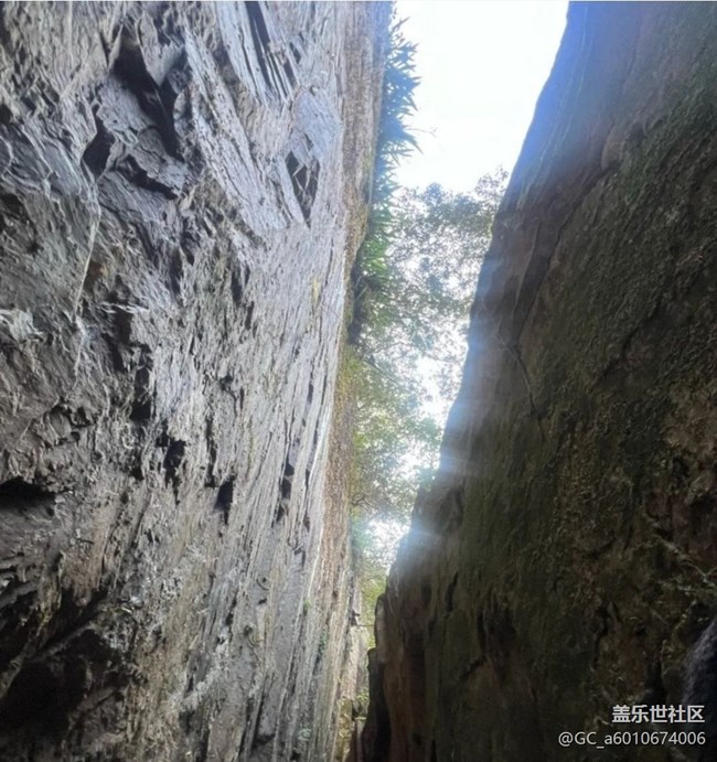 【徒步所见】去踏青