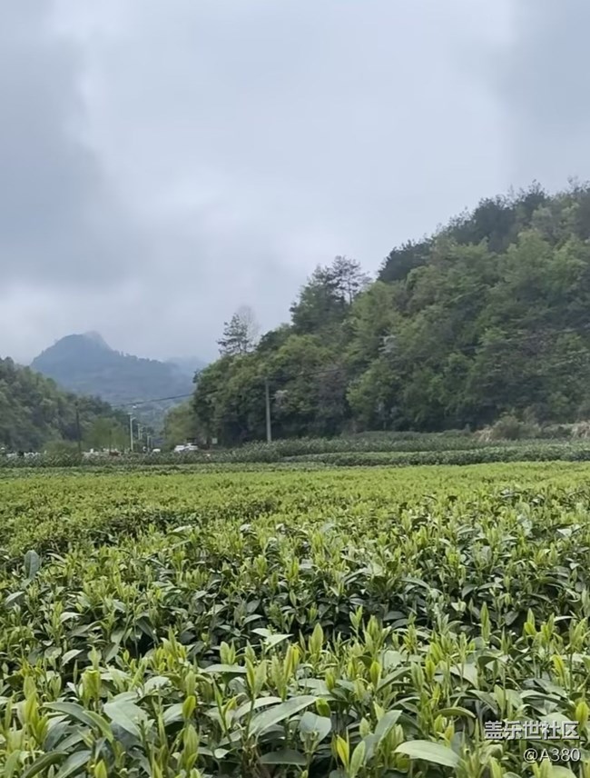 【徒步所见】春意盎然